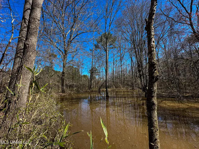 $449,450 | 1 Hwy 15 South Noxapater Ms 39346, Noxapater, MS 39346