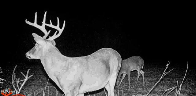 $449,450 | 1 Hwy 15 South Noxapater Ms 39346, Noxapater, MS 39346