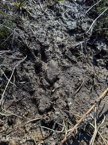 $449,450 | 1 Hwy 15 South Noxapater Ms 39346, Noxapater, MS 39346