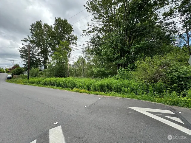 a view of a road with a trees