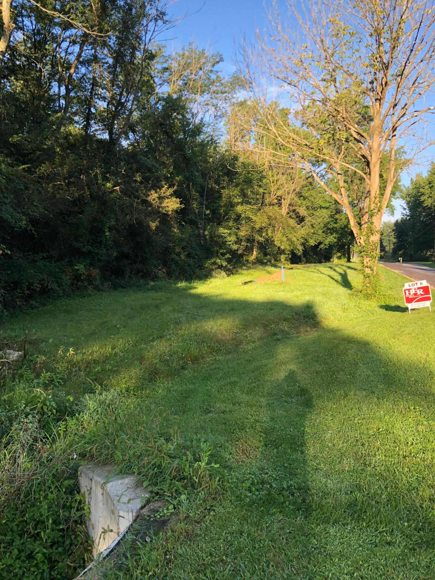 Lot 6 Trenton Road Galena, OH 43021 - Photo 3 of 9