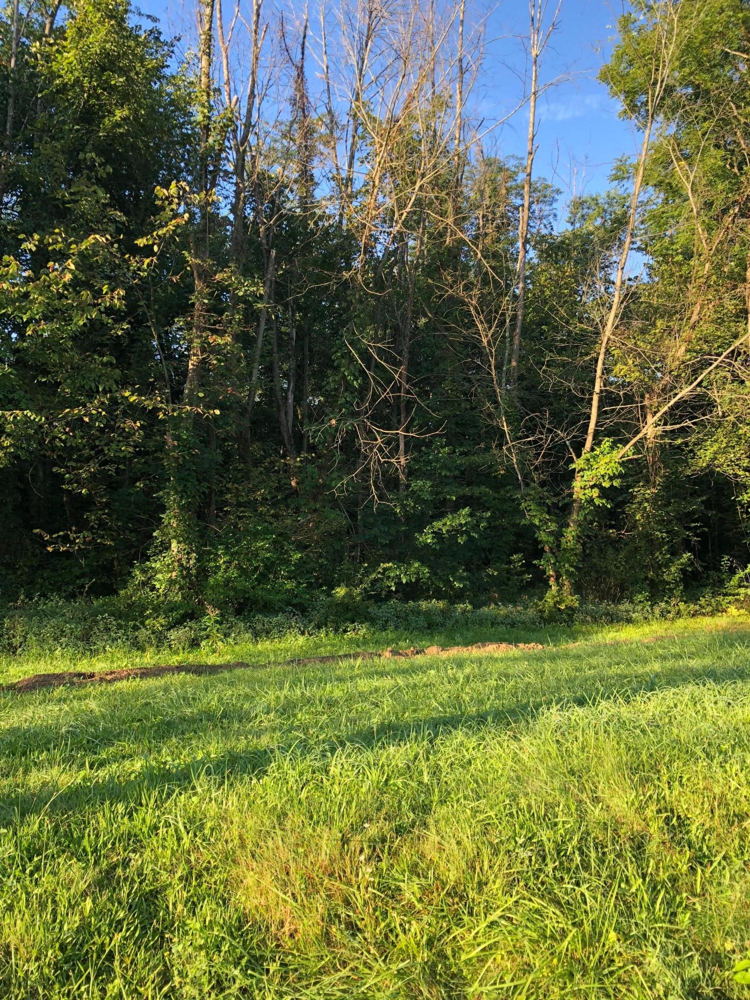 Lot 6 Trenton Road Galena, OH 43021 - Photo 7 of 9