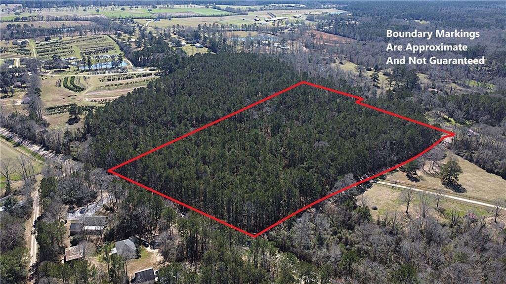 450 Rd Folsom La Franklinton, LA 70438 - Photo 2 of 8