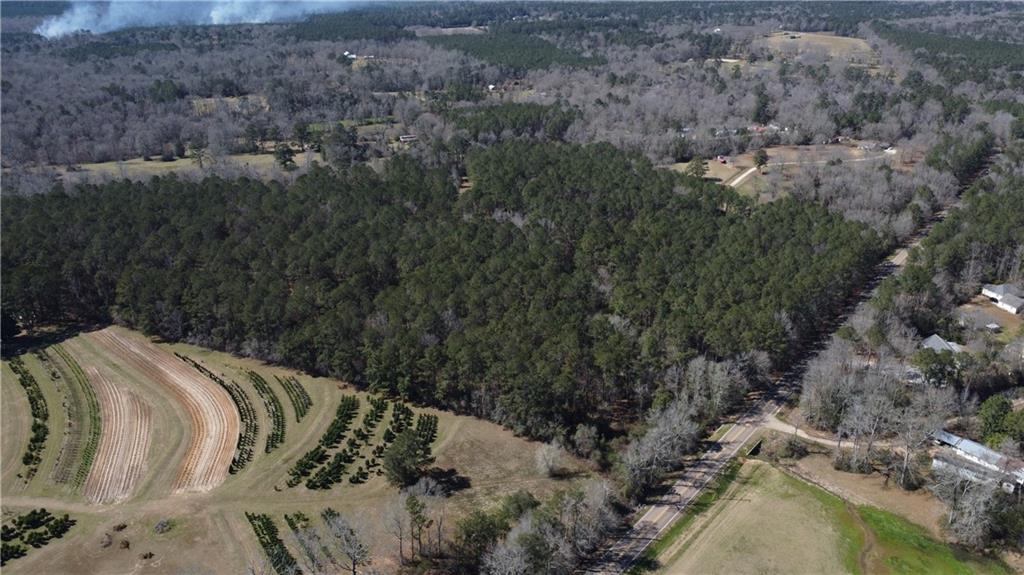 450 Rd Folsom La Franklinton, LA 70438 - Photo 4 of 8