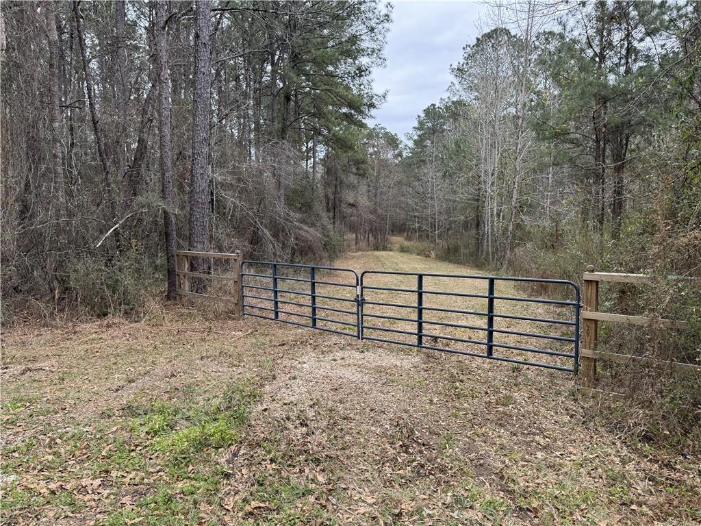 450 Rd Folsom La Franklinton, LA 70438 - Photo 6 of 8