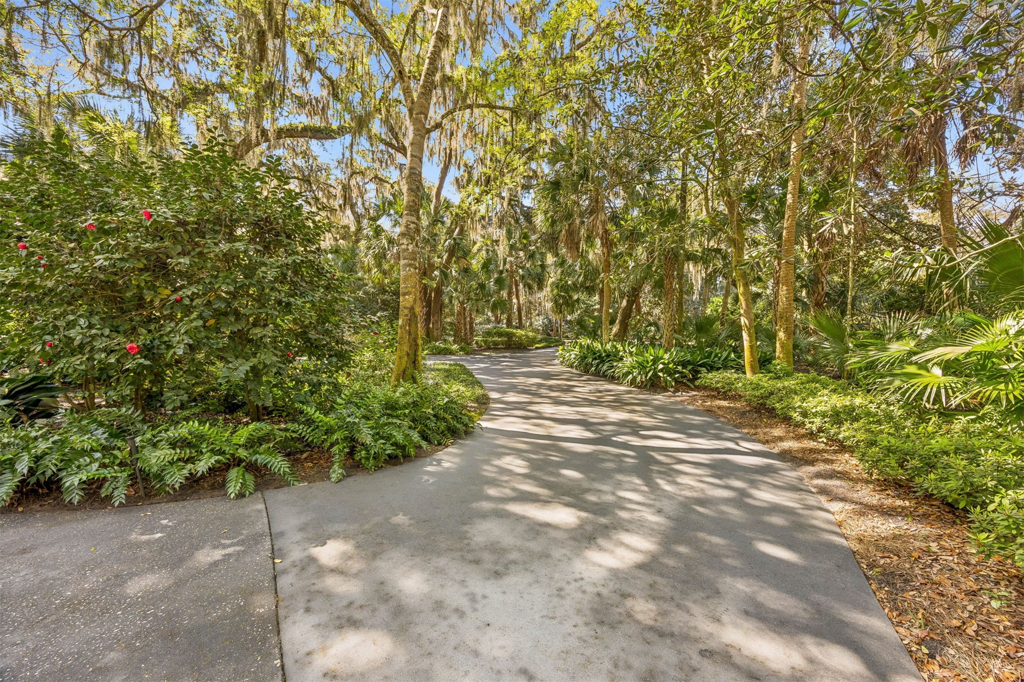 5 Red Cedar Road Fernandina Beach, FL 32034 - Photo 3 of 46 Driveway Looking Out To Road
