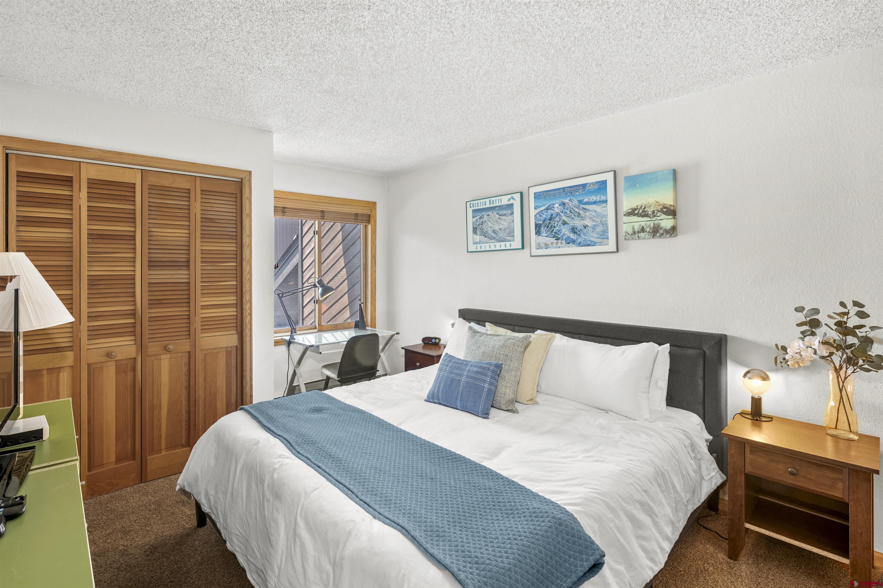 21 Castle Road, Unit 2 Crested Butte, CO 81225 - Photo 19 of 28