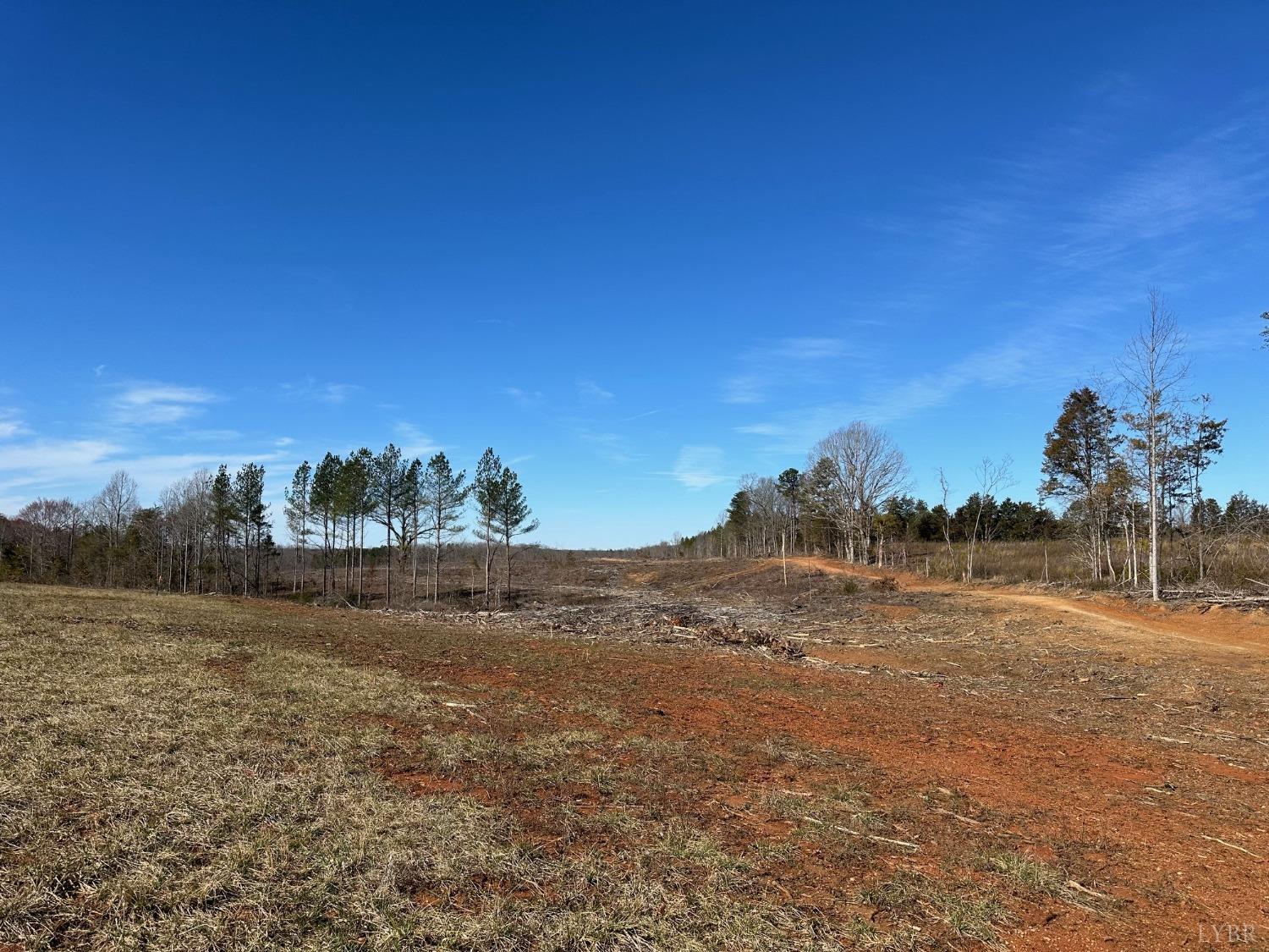 0 Lewis Ford Road Brookneal, VA 24528 - Photo 4 of 17 Gallery Image 4