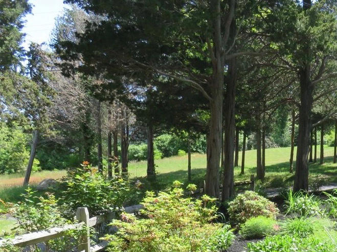 15 Seaview Road Orleans, MA 02653 - Photo 2 of 12 a view of a garden