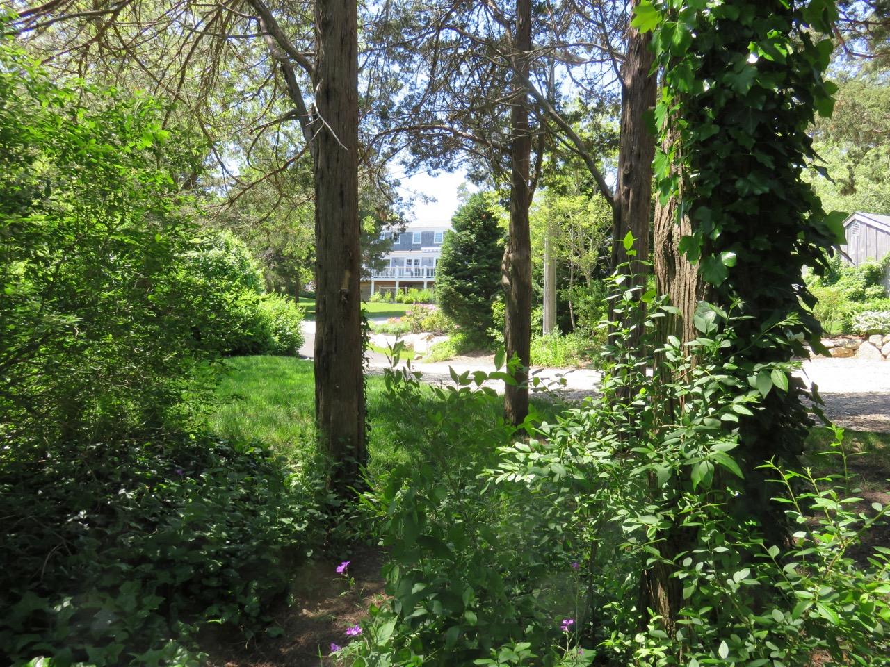 15 Seaview Road Orleans, MA 02653 - Photo 3 of 12 a view of forest