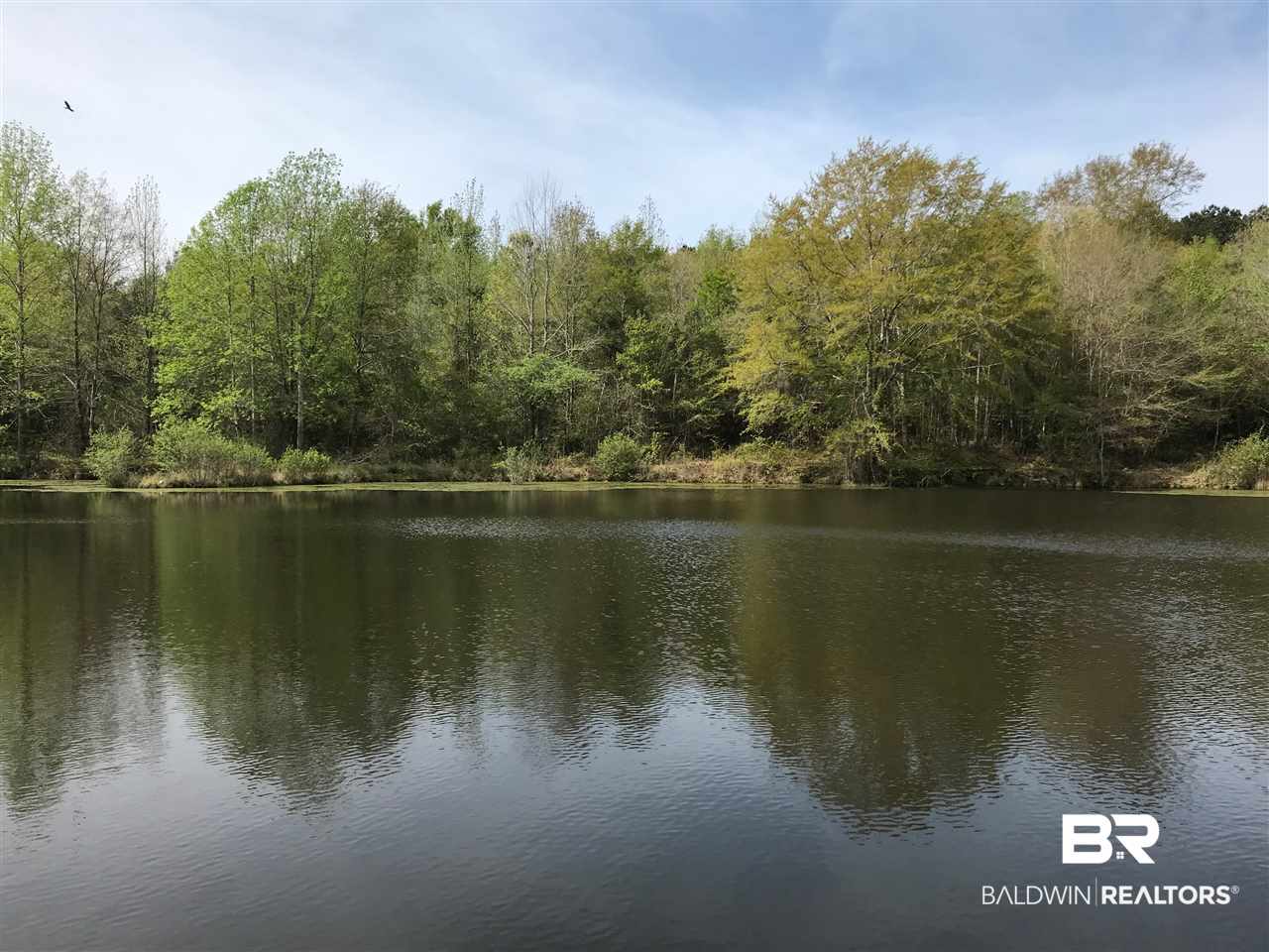 1178 Dry Lake Road Luverne, AL 36049 - Photo 37 of 50