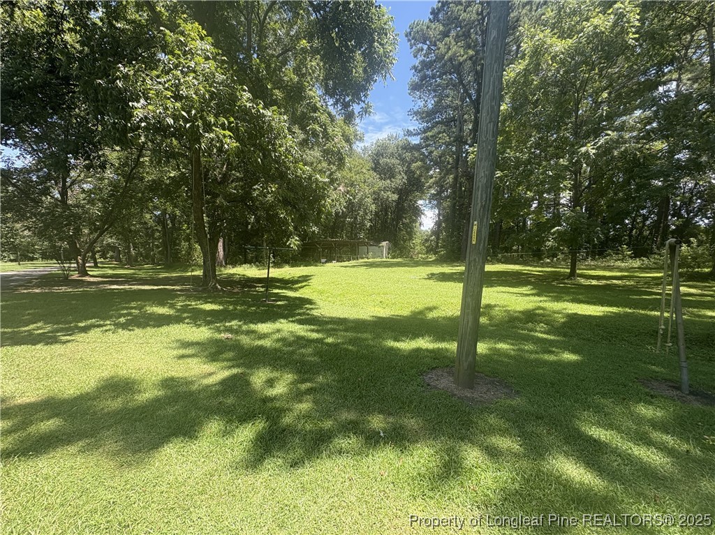 6566 Bend Of River Road Dunn, NC 28334 - Photo 18 of 20 Side Yard