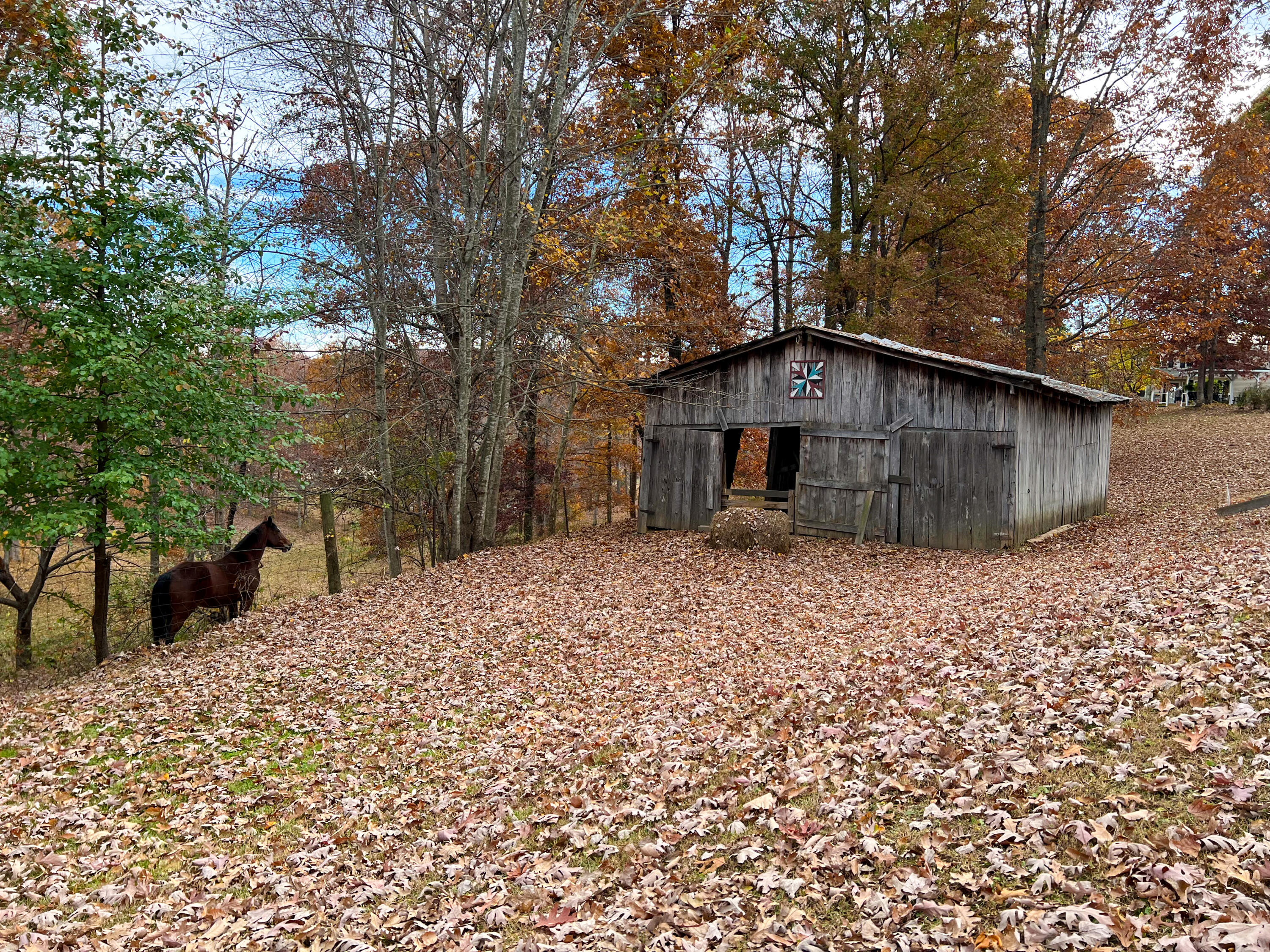 4500 Slate Lick Road London, KY 40741 - Photo 92 of 132 IMG_3698