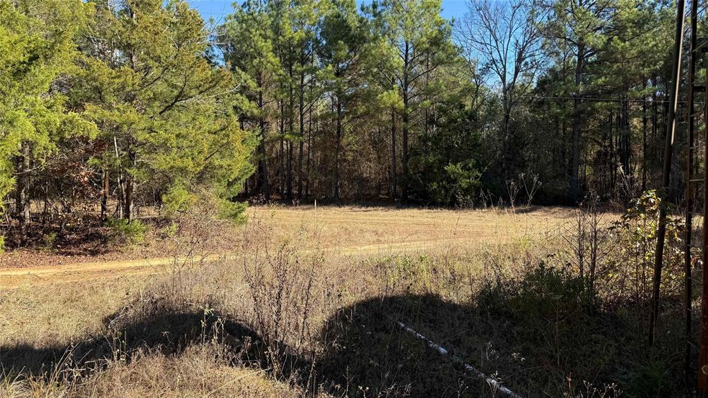 10744 Monterey School Road Vivian, LA 71082 - Photo 20 of 35