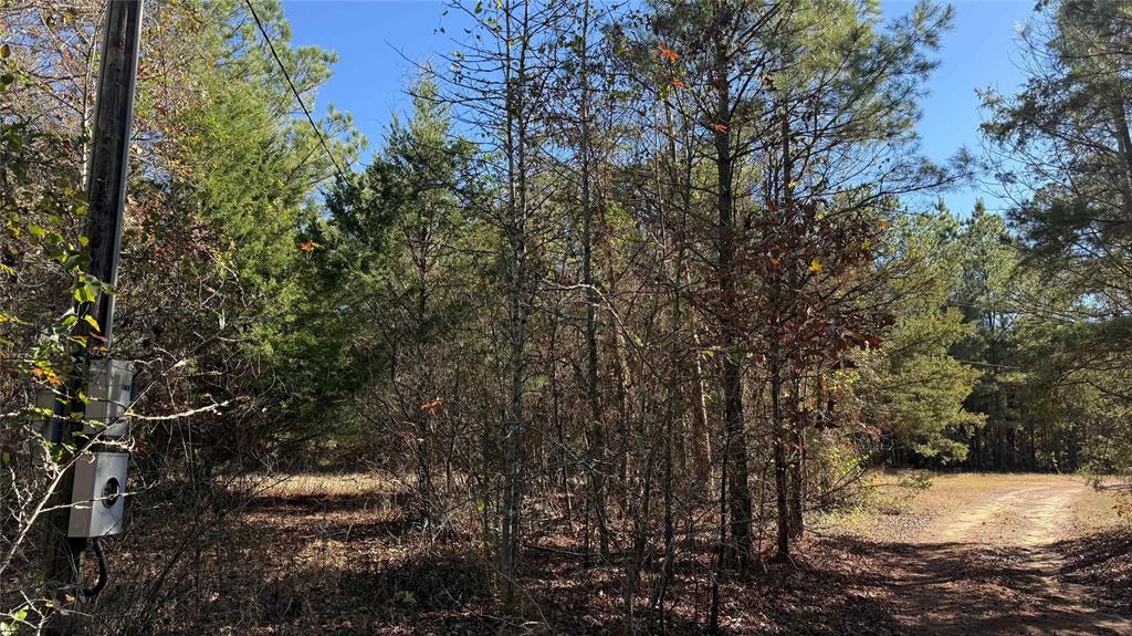 10744 Monterey School Road Vivian, LA 71082 - Photo 21 of 35