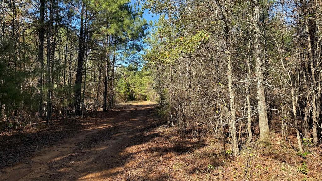 10744 Monterey School Road Vivian, LA 71082 - Photo 22 of 35