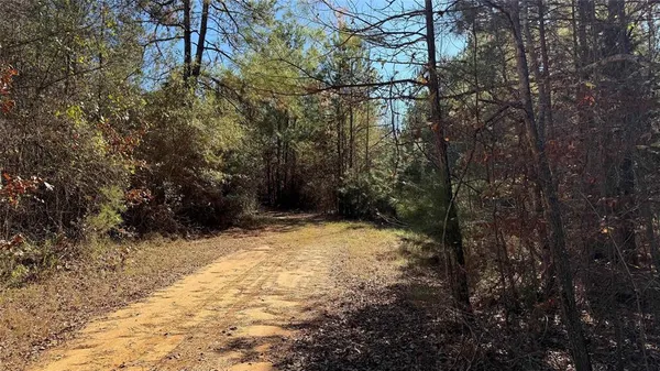 a view of a yard with trees