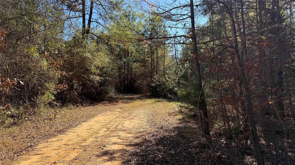 10744 Monterey School Road Vivian, LA 71082 - Photo 23 of 35