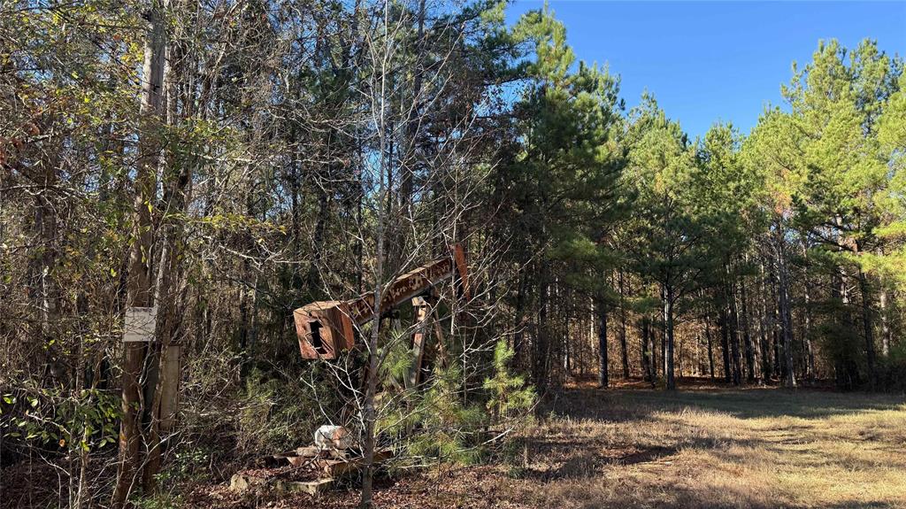 10744 Monterey School Road Vivian, LA 71082 - Photo 24 of 35