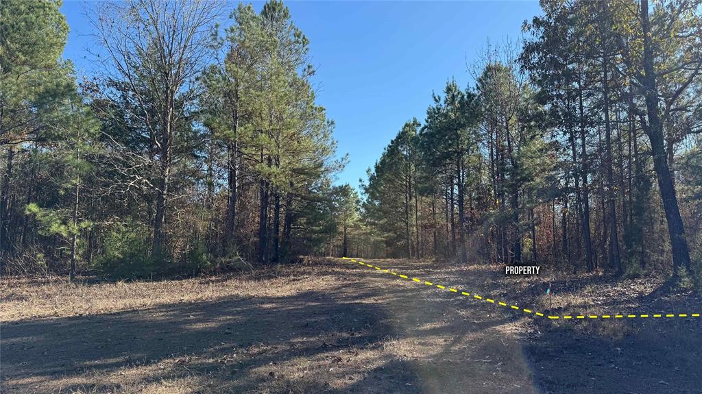 10744 Monterey School Road Vivian, LA 71082 - Photo 25 of 35