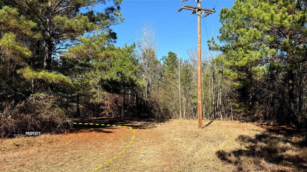 10744 Monterey School Road Vivian, LA 71082 - Photo 26 of 35