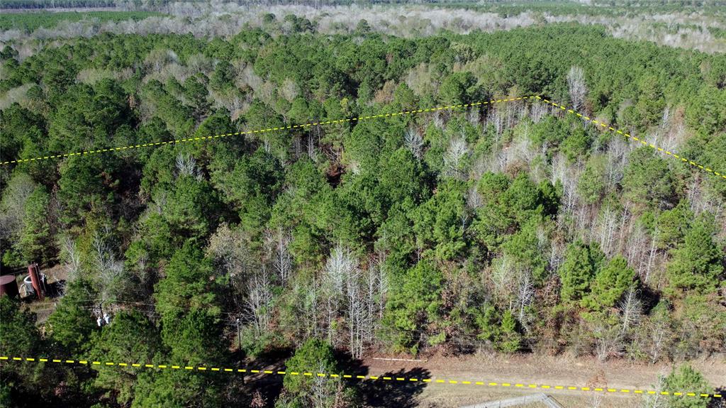 10744 Monterey School Road Vivian, LA 71082 - Photo 27 of 35