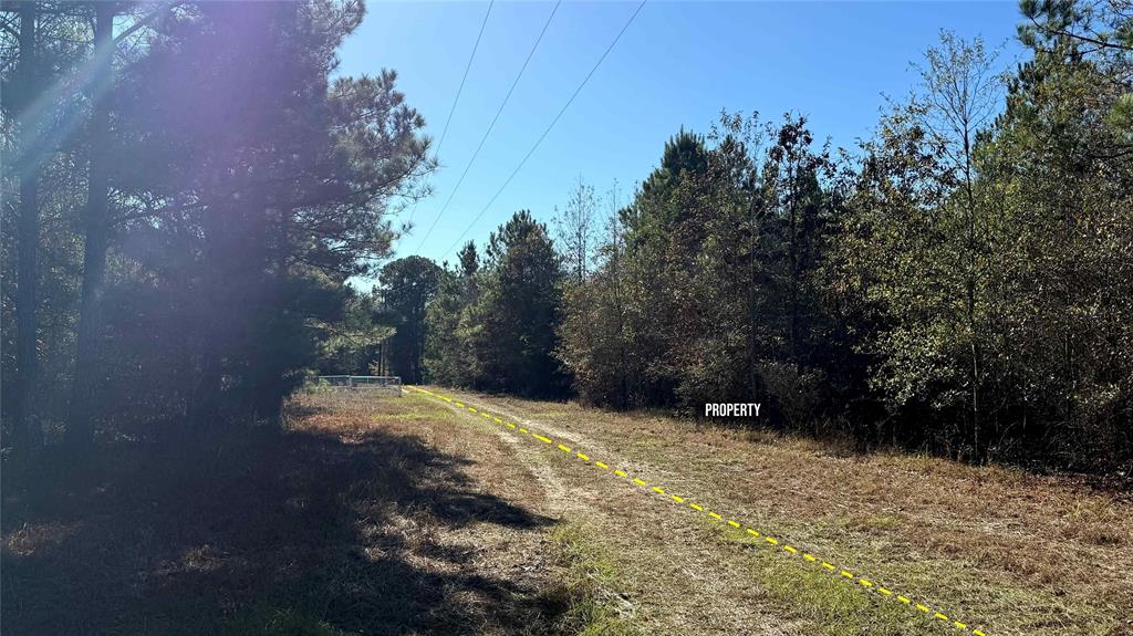 10744 Monterey School Road Vivian, LA 71082 - Photo 29 of 35