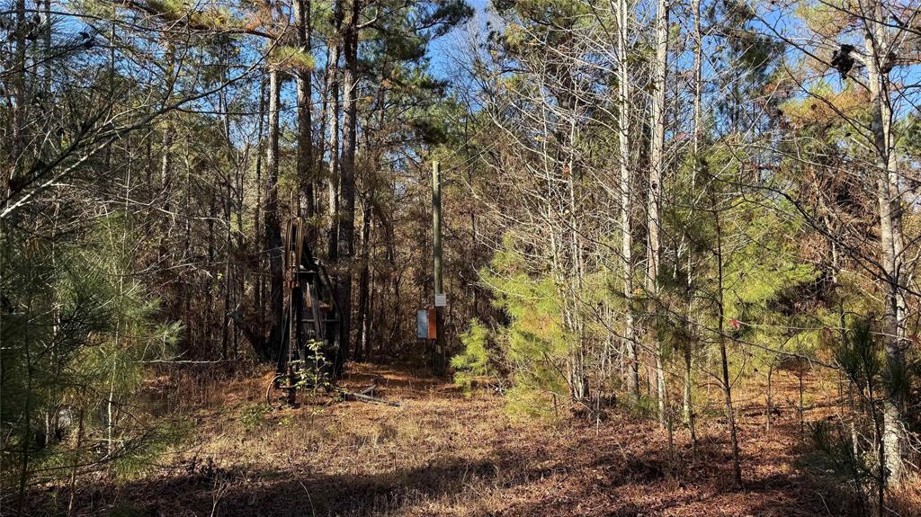 10744 Monterey School Road Vivian, LA 71082 - Photo 31 of 35