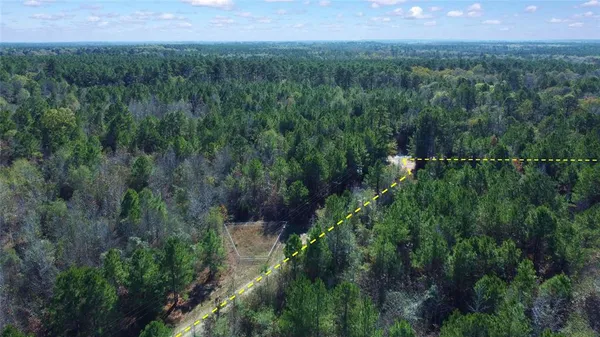 an aerial view of residential houses with outdoor space and trees