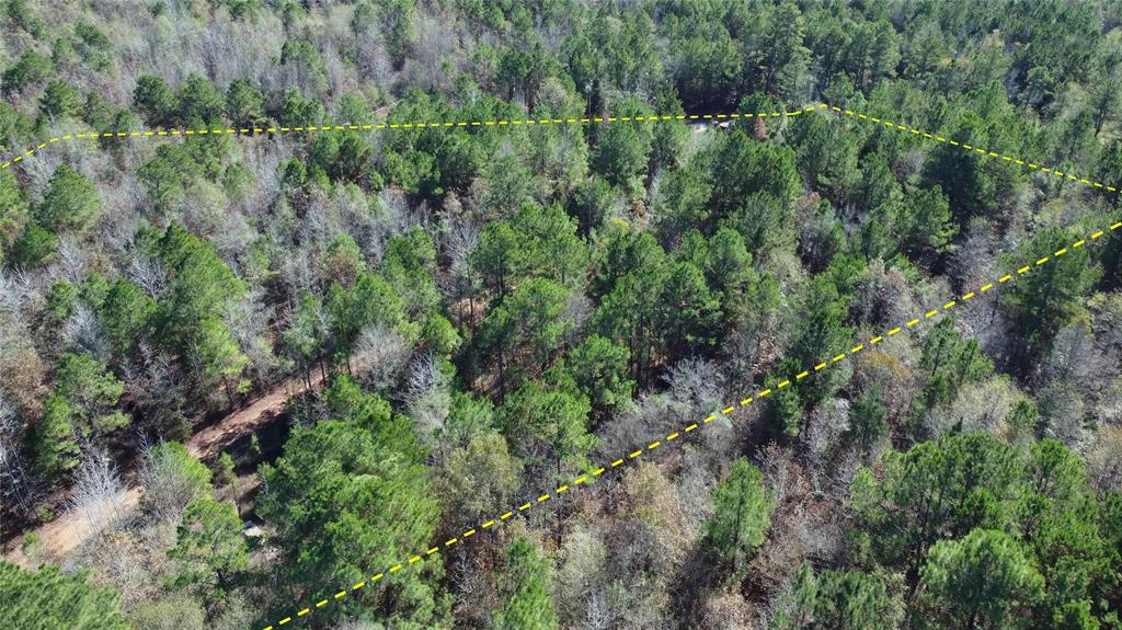 10744 Monterey School Road Vivian, LA 71082 - Photo 33 of 35