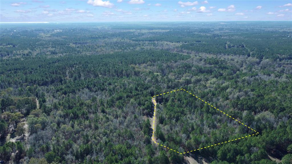 10744 Monterey School Road Vivian, LA 71082 - Photo 7 of 35