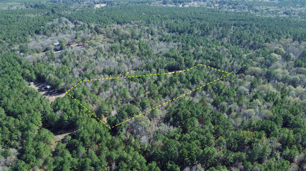 10744 Monterey School Road Vivian, LA 71082 - Photo 9 of 35