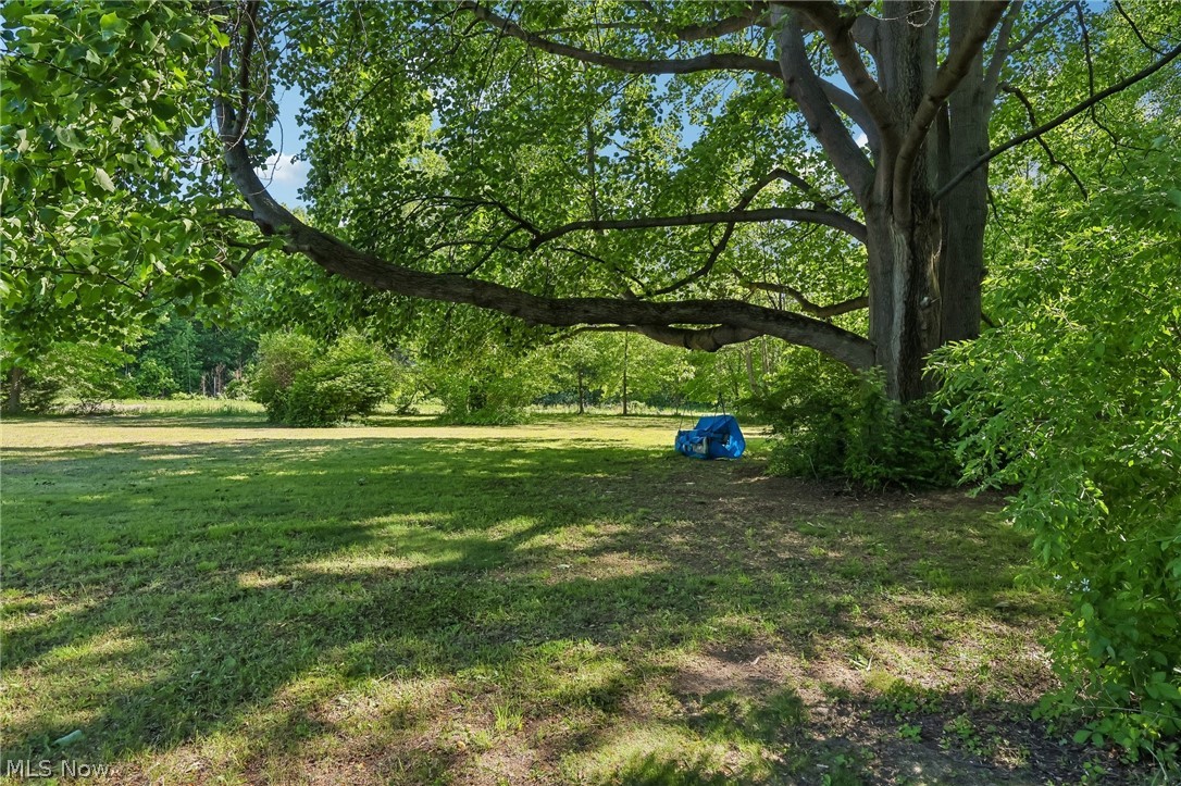 2428 Antioch Road Perry, OH 44081 - Photo 45 of 46 Expansive green lawn with mature trees and natural landscaping