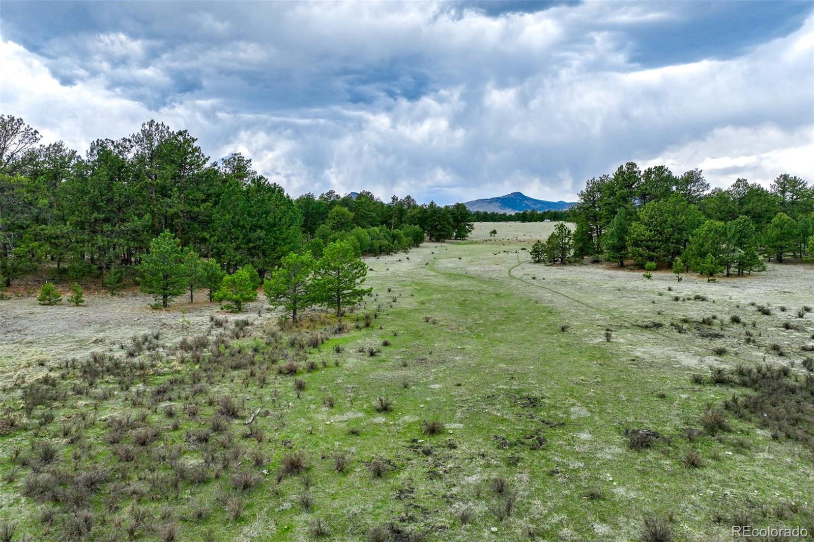 103 Doe Valley Road Guffey, CO 80820 - Photo 26 of 46
