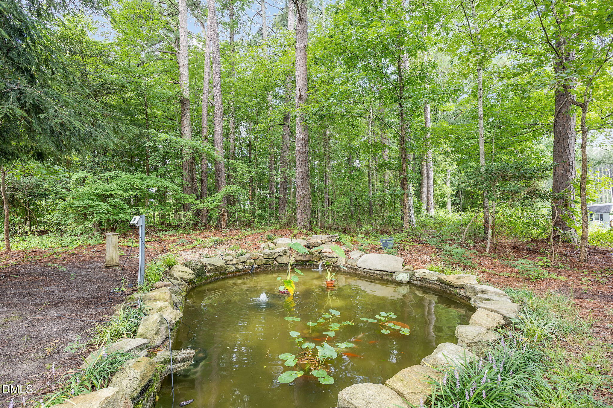 280 Edwards Road Henderson, NC 27537 - Photo 26 of 34 6-web-or-mls-9L1A6027