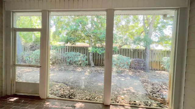 a view of backyard from window