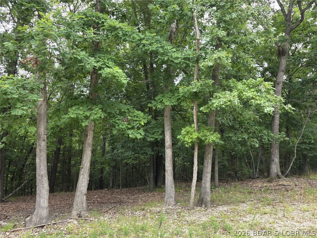 Lot 110 Terry Rd Lake Lake Ozark, MO 65049 - Photo 4 of 17