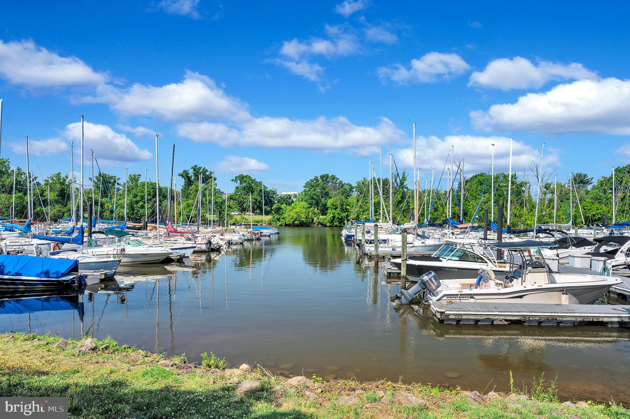 1437 Duke Street Alexandria, VA 22314 - Photo 34 of 45 a view of a lake with chairs