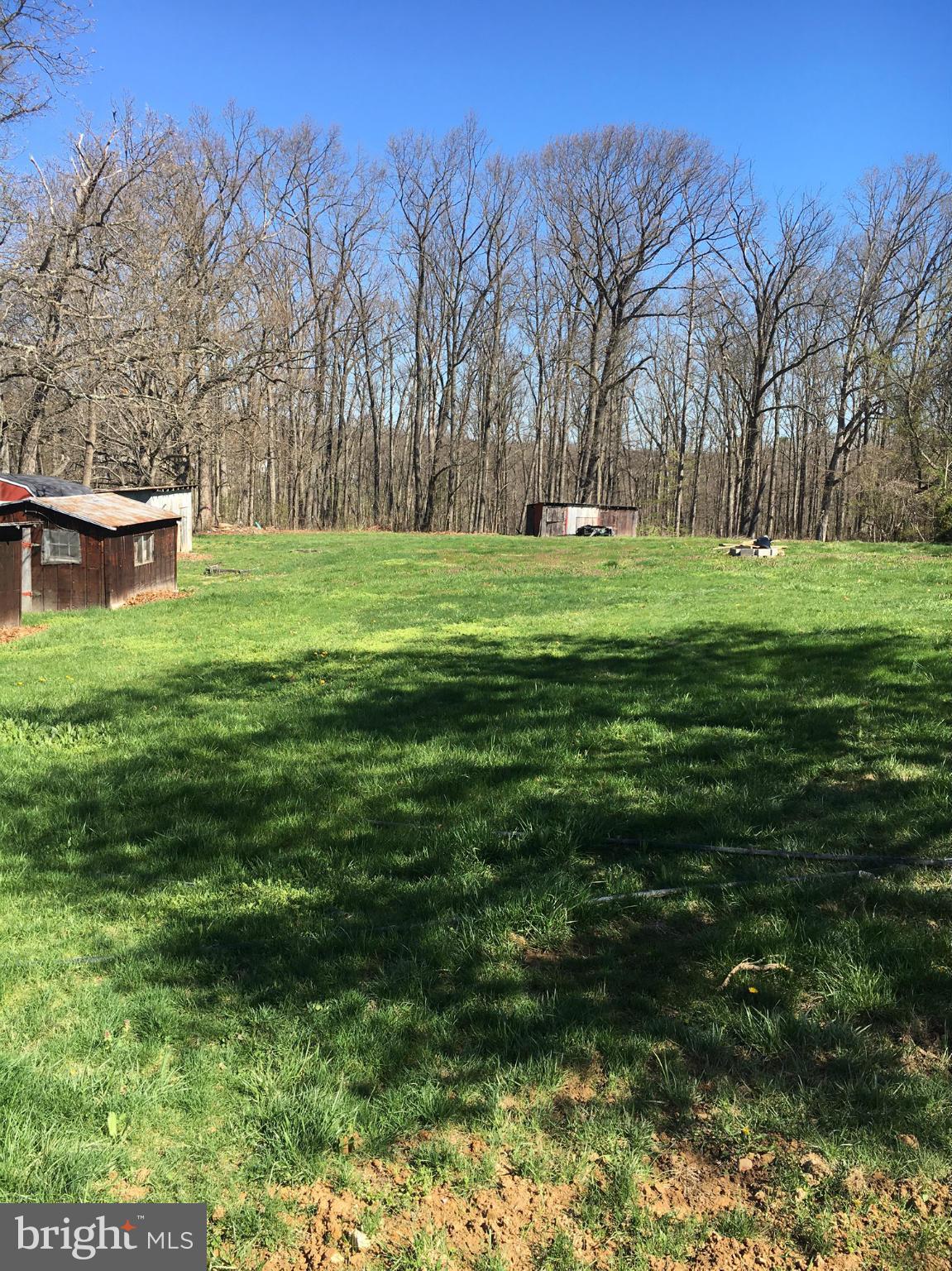 170 Andrews Road Strasburg, VA 22657 - Photo 11 of 20 Exterior (Rear)