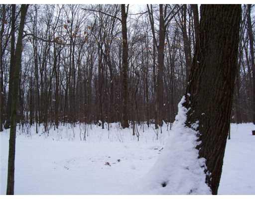 11255 Williamson Road Meadville, PA 16335 - Photo 10 of 10 Land/Lot.