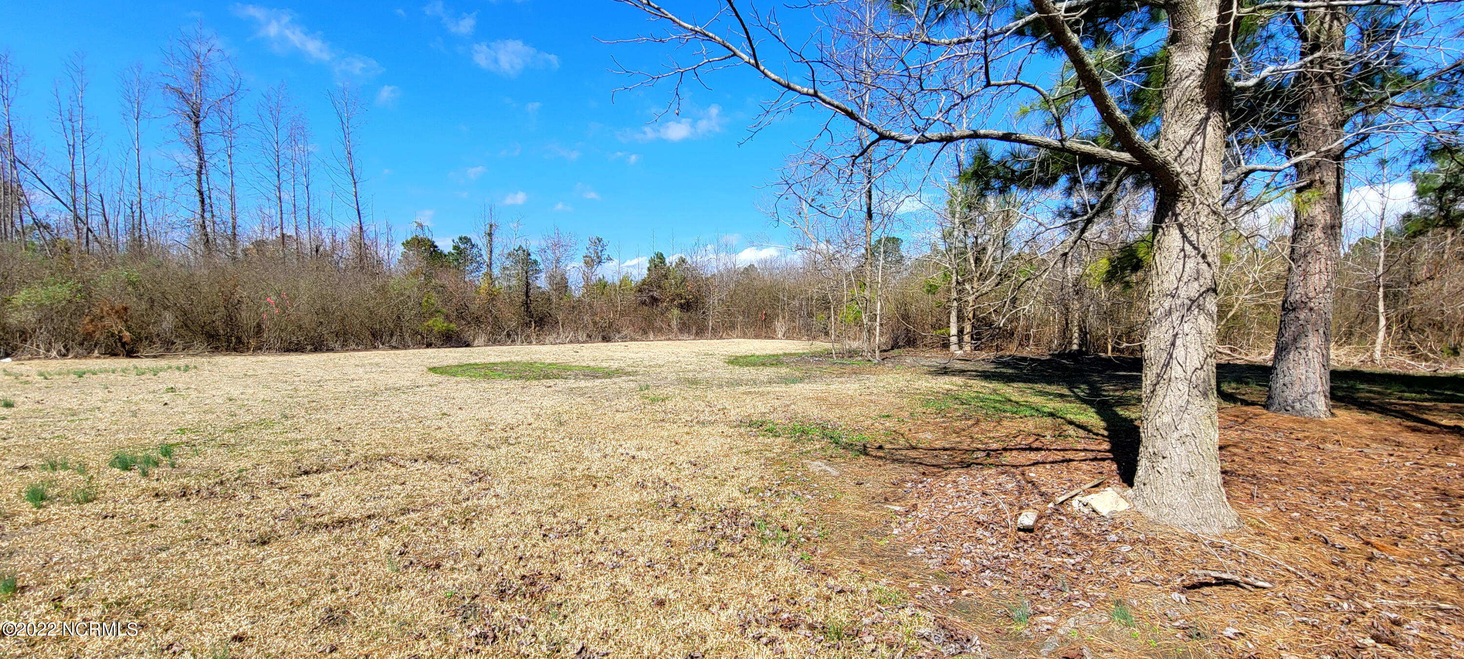 6377 Pine Ridge Road Faison, NC 28341 - Photo 26 of 35 20220301_115451 conv