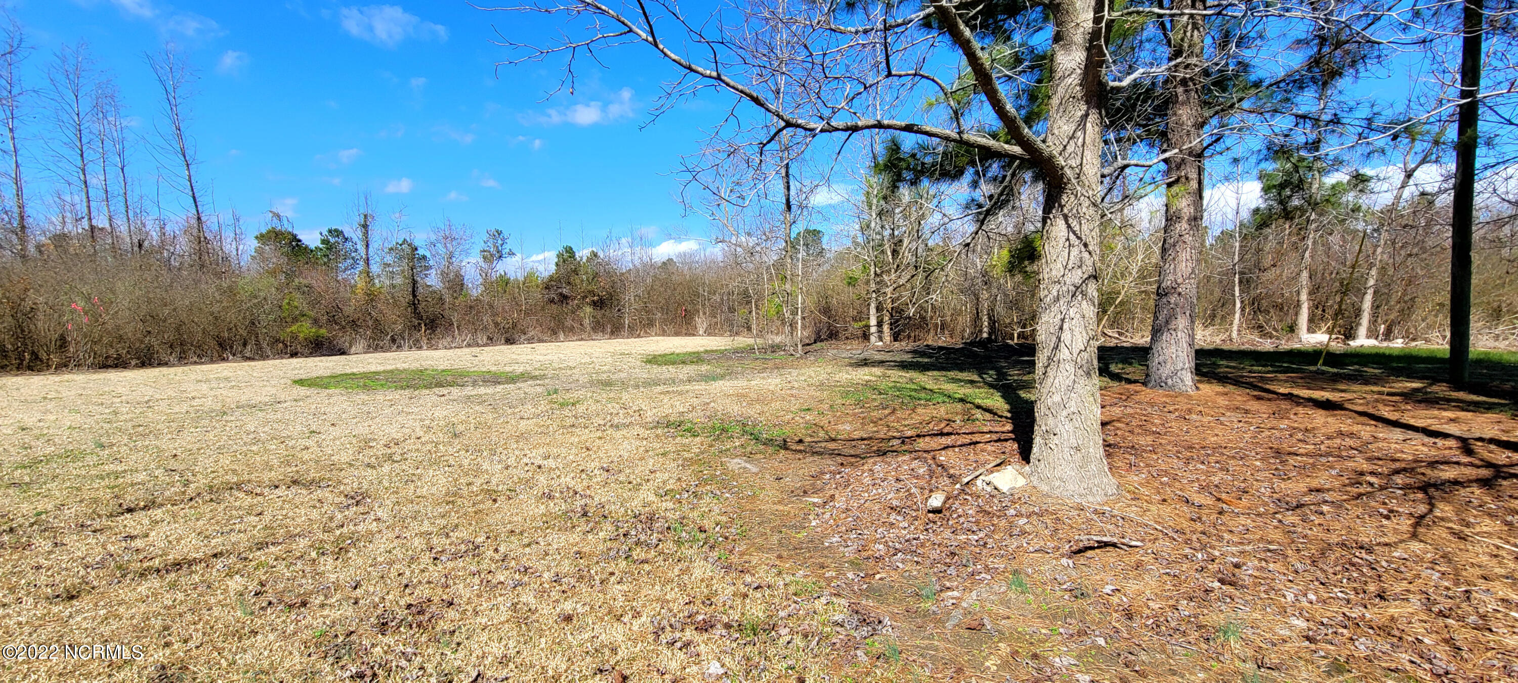 6377 Pine Ridge Road Faison, NC 28341 - Photo 27 of 35 20220301_115455 conv