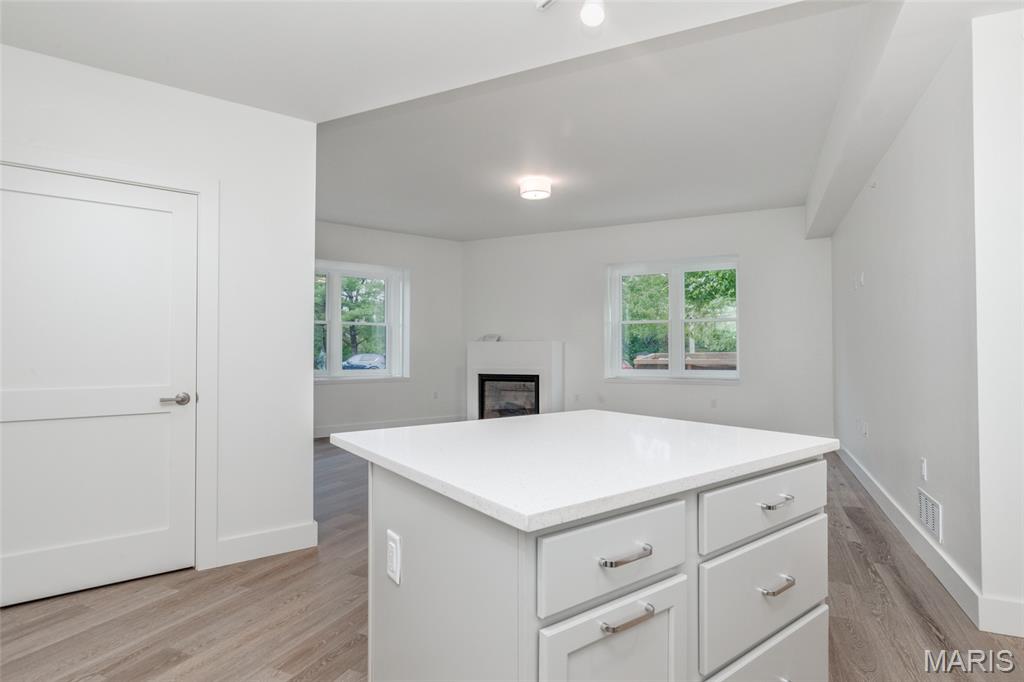 6000 Washington Avenue, Unit 101 St. Louis, MO 63108 - Photo 12 of 26