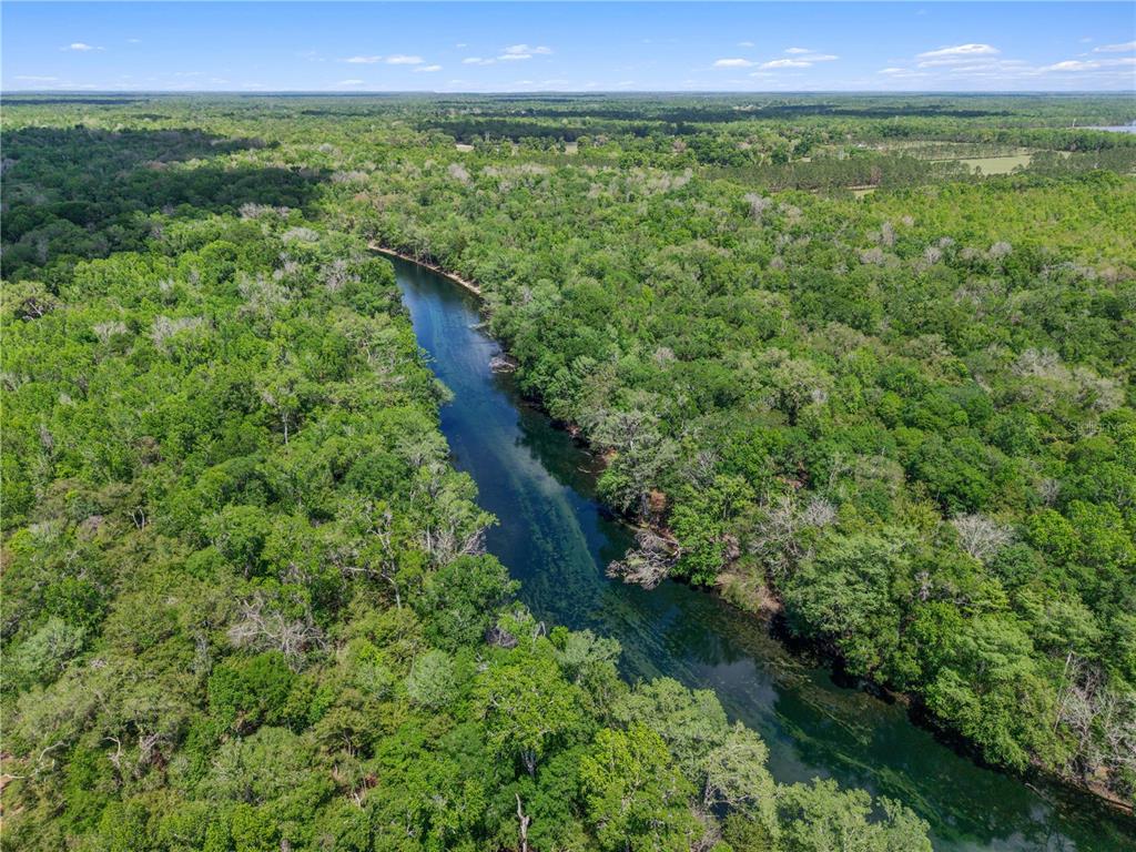 4639 Southwest Wilson Springs Road Fort White, FL 32038 - Photo 36 of 76 a view of a lush green forest with lots of trees
