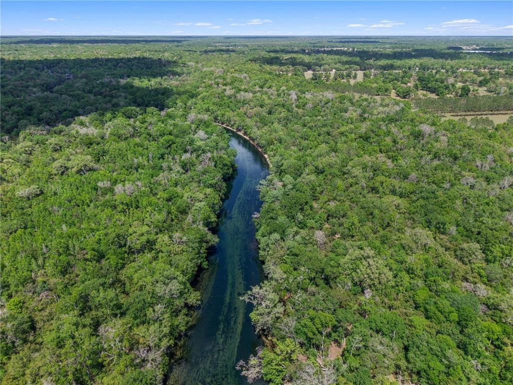 4639 Southwest Wilson Springs Road Fort White, FL 32038 - Photo 48 of 76 a view of a lush green forest with lots of trees