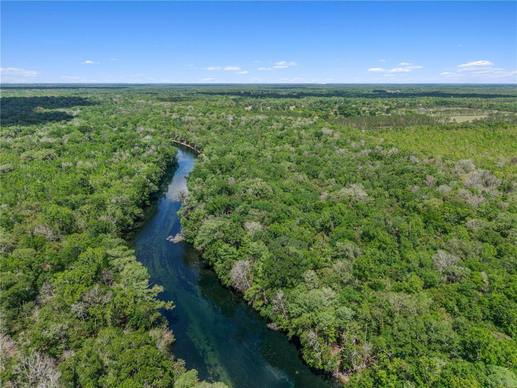 4639 Southwest Wilson Springs Road Fort White, FL 32038 - Photo 49 of 76 a view of a green field with lots of trees in it