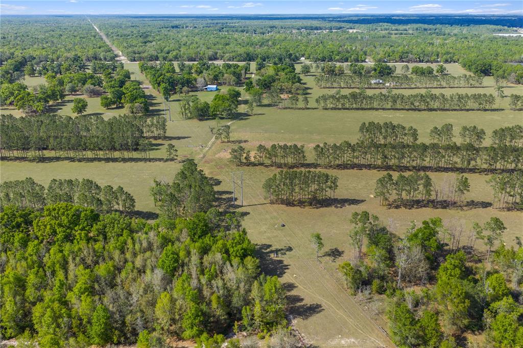 4639 Southwest Wilson Springs Road Fort White, FL 32038 - Photo 52 of 76 a view of a lake with a house