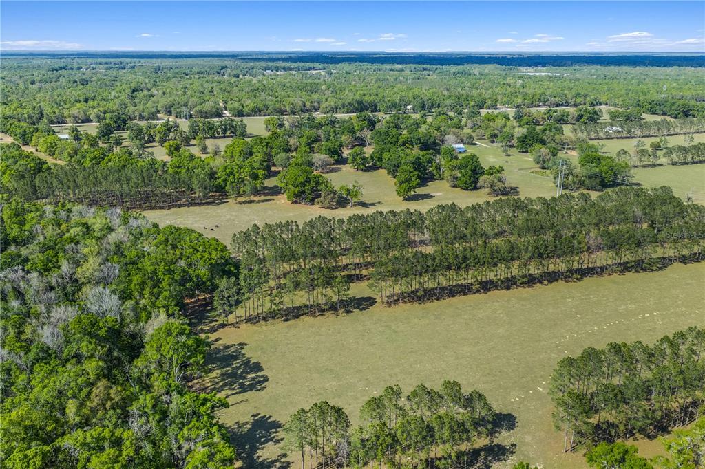 4639 Southwest Wilson Springs Road Fort White, FL 32038 - Photo 53 of 76 a view of an outdoor space and a lake view