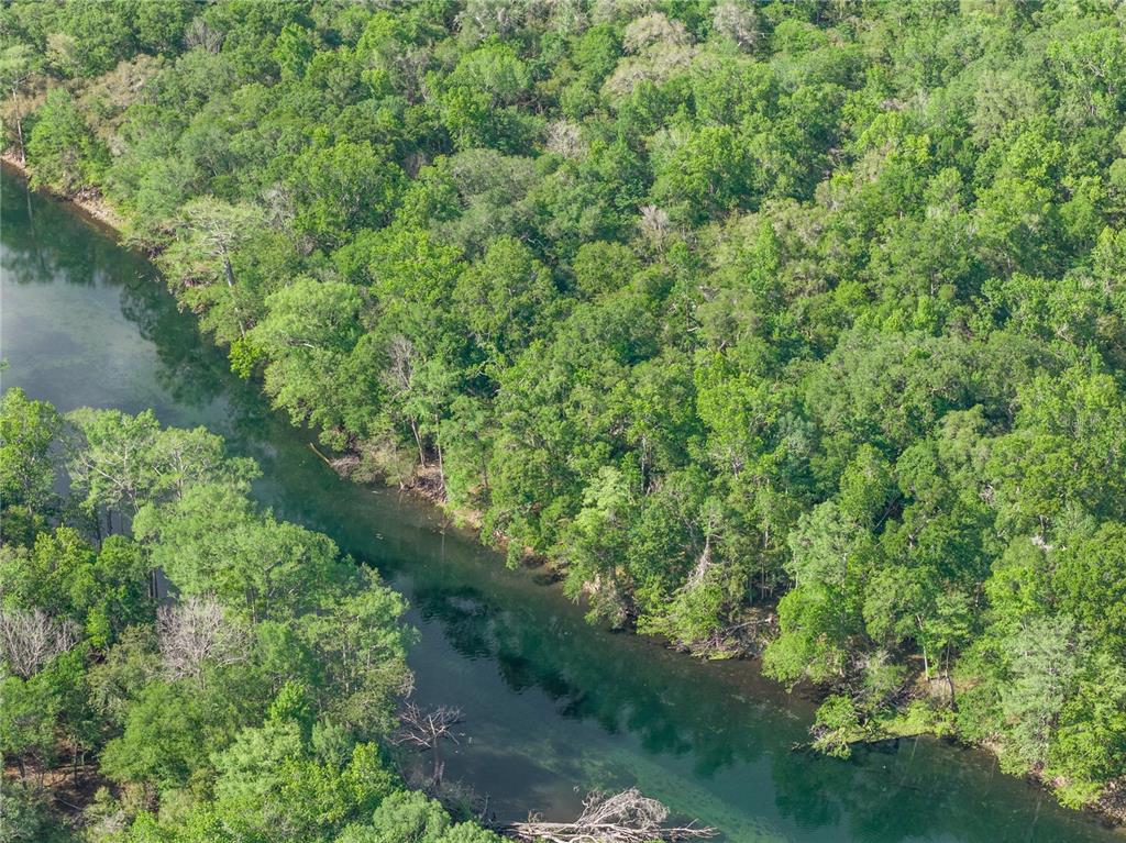 4639 Southwest Wilson Springs Road Fort White, FL 32038 - Photo 54 of 76