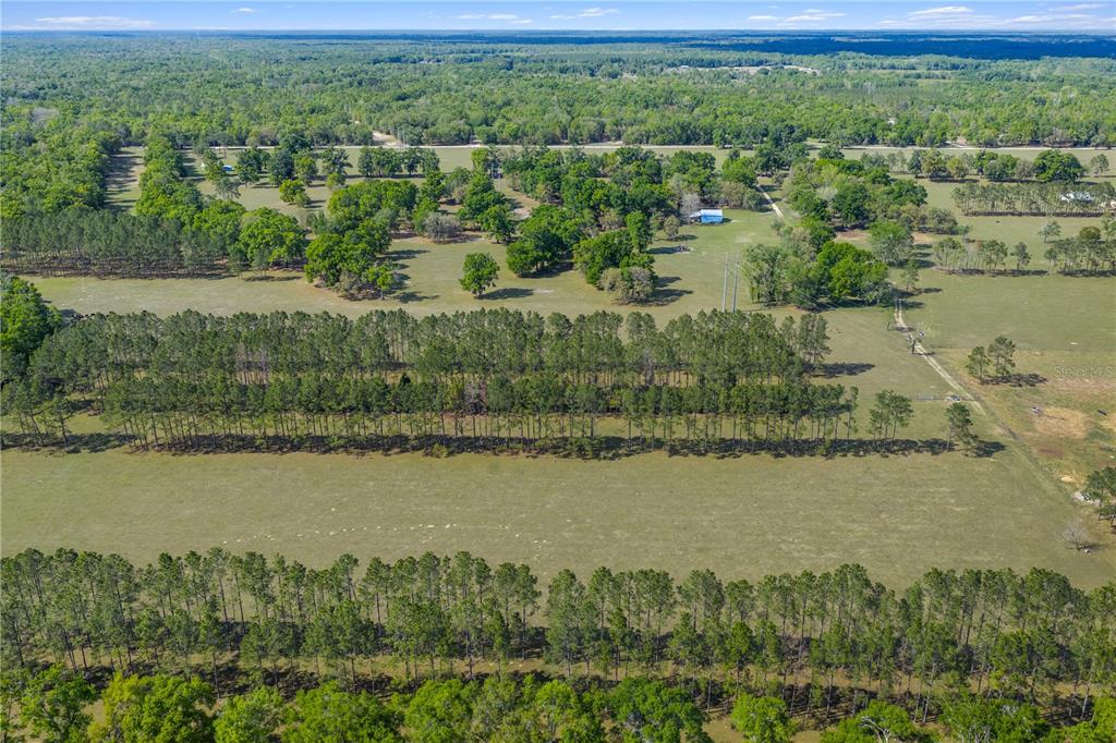 4639 Southwest Wilson Springs Road Fort White, FL 32038 - Photo 57 of 76 a view of a lake with a city view